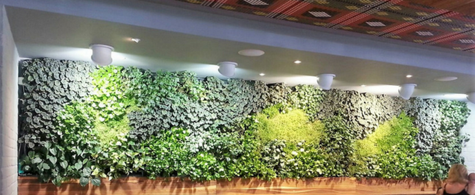 8 reasons not to get a green wall