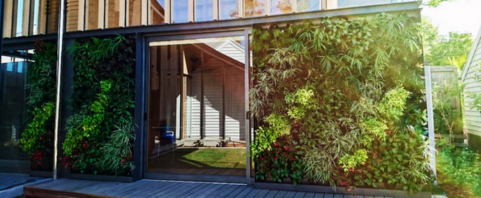 Boost your LEED credits with decorative green walls