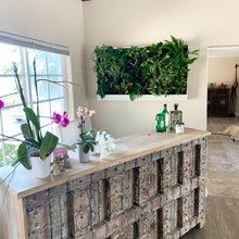Large, planted, wall-mounted greenwall system mounted in a home. 