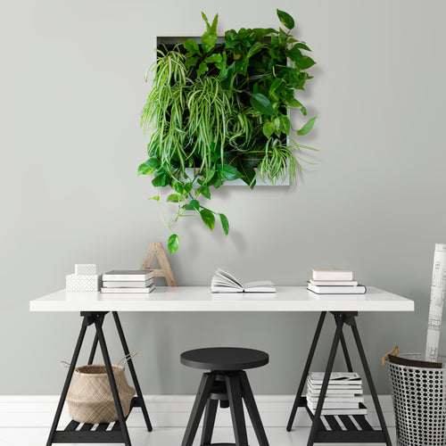 Vertical Plant Wall (25