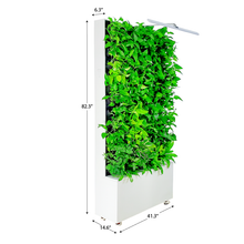 Large, white free-standing greenwall mobile divider unit with dimensions.