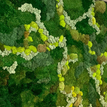 Moss Wall - Rectangle