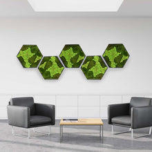 Moss Wall - Hexagon