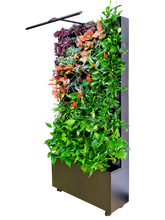 Large, black, planted free-standing greenwall mobile divider unit. 