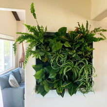 Small, sixteen plant wall-mounted greenwall system.